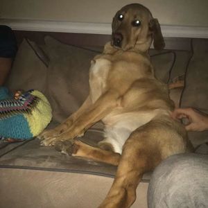 Meet your Posher, Rachelle